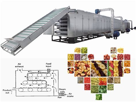 fruits dryer machine|Iba pa.